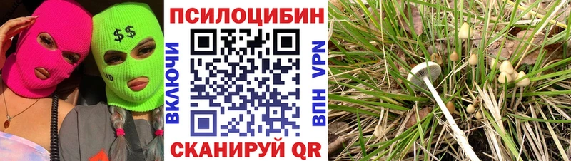 Купить закладки  Заинск  Галлюциногенные грибы прущие грибы 